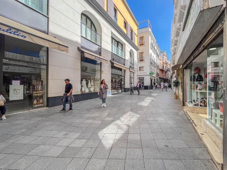 Apartamento Centro Palacio Siglo De Oro Apartment Seville
