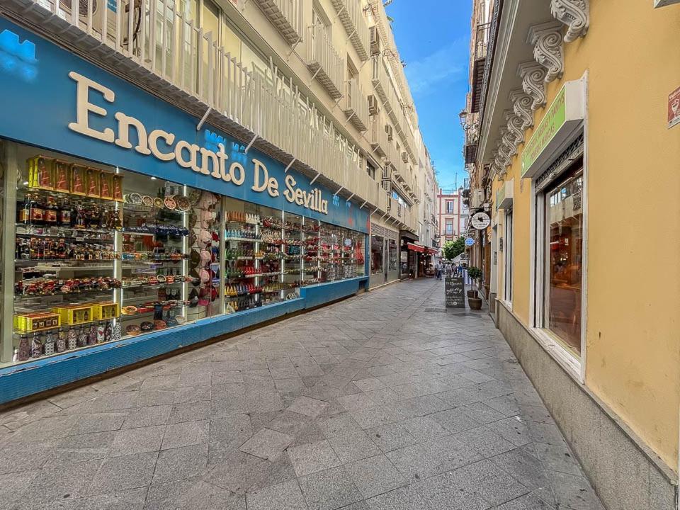 Apartamento Centro Palacio Siglo De Oro *