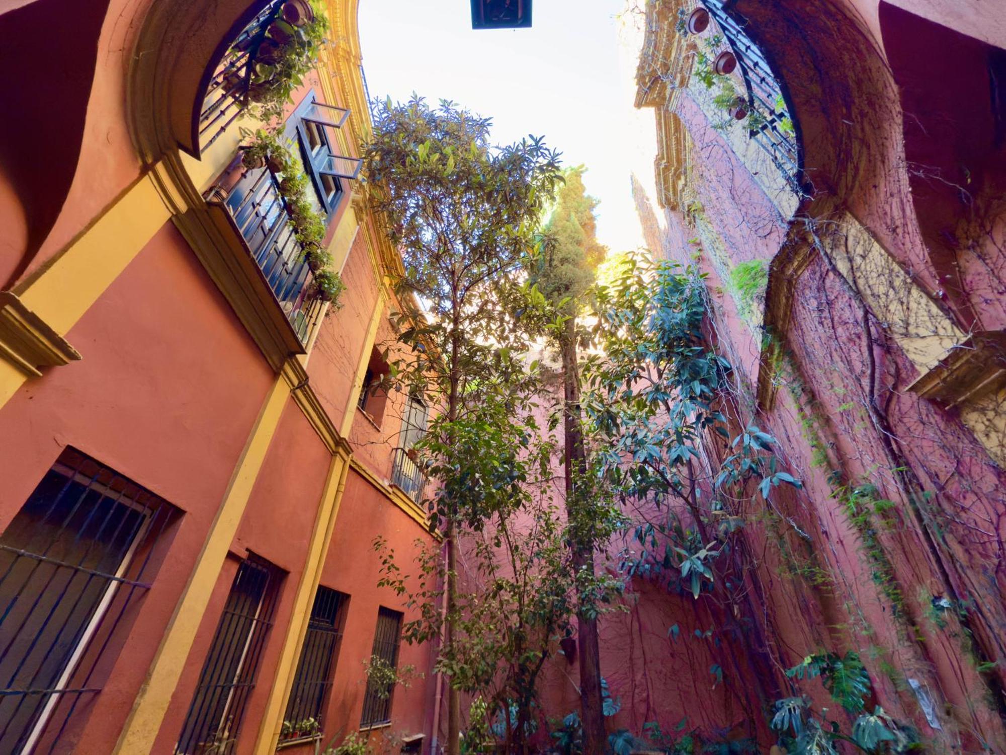 Apartment Apartamento Centro Palacio Siglo De Oro Seville